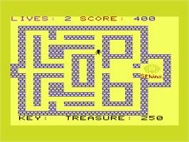 In game image of Riddle of the Sphinx on the Commodore VIC-20.