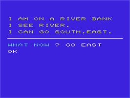 In game image of Sorcerer And The Princess, The on the Commodore VIC-20.