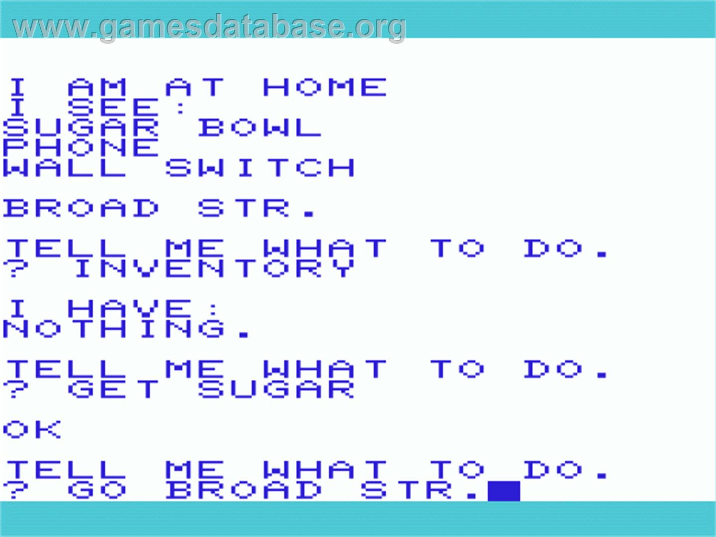Computer Adventure - Commodore VIC-20 - Artwork - In Game