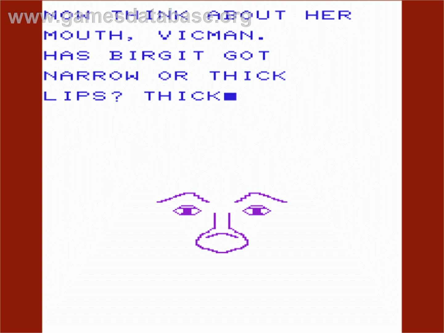 Facemaker - Commodore VIC-20 - Artwork - In Game