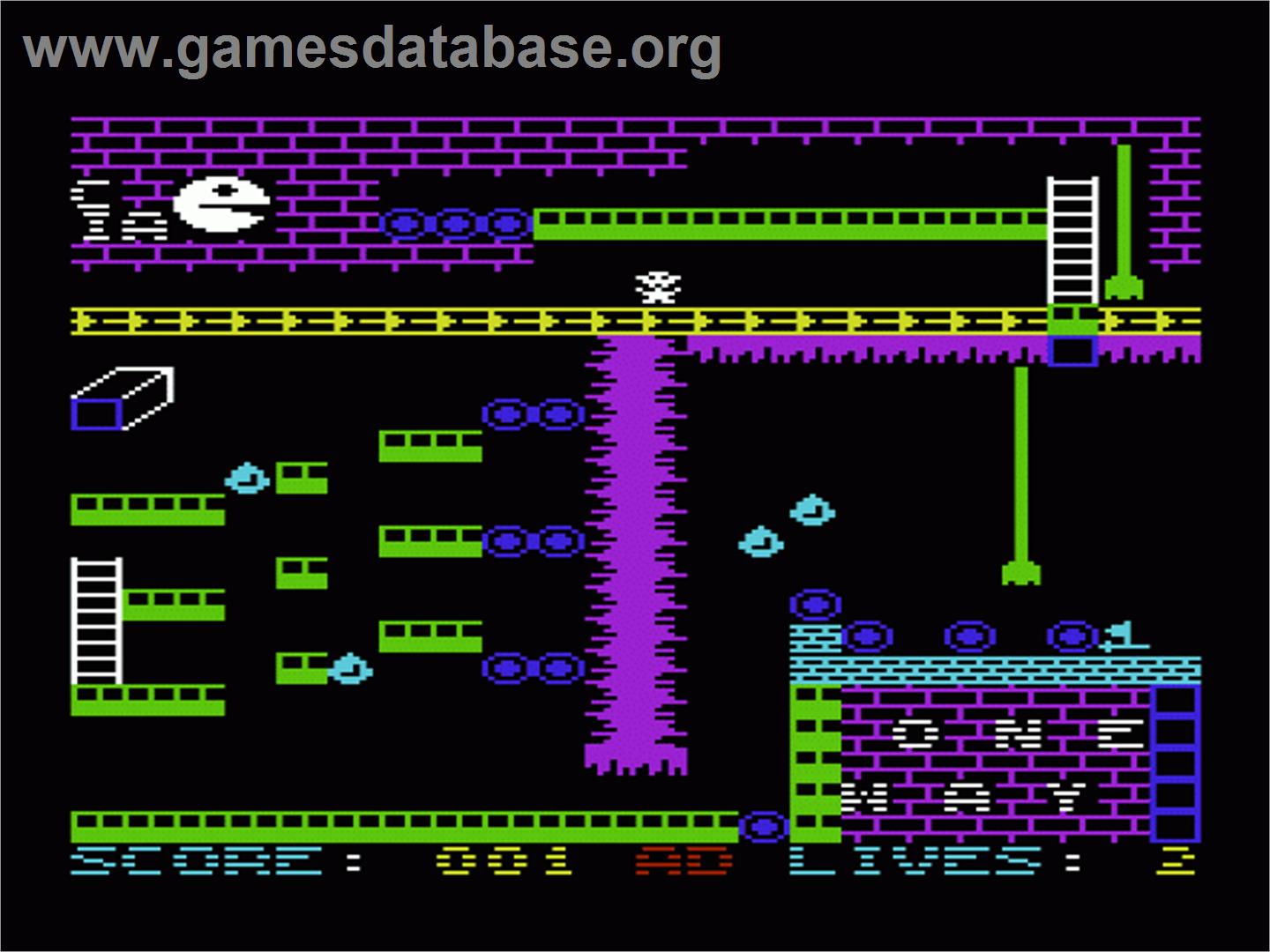 Perilous Cavern - Commodore VIC-20 - Artwork - In Game