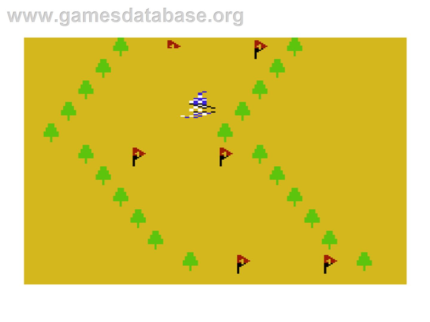 Slalom - Commodore VIC-20 - Artwork - In Game