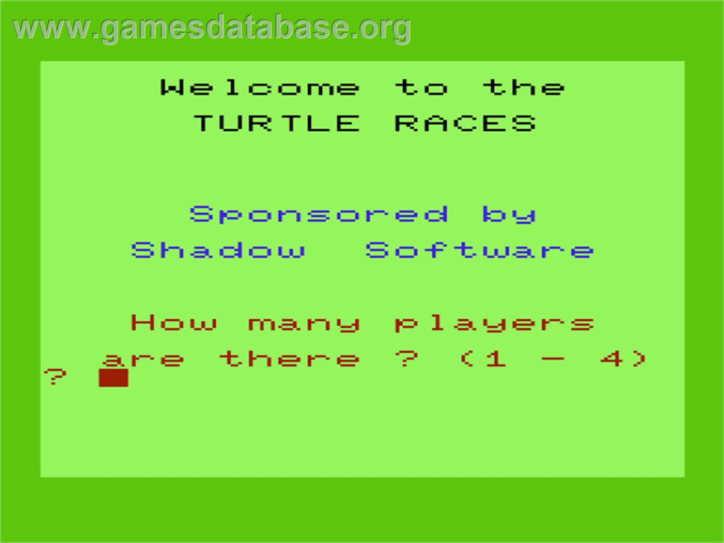 Turtle Races - Commodore VIC-20 - Artwork - Title Screen
