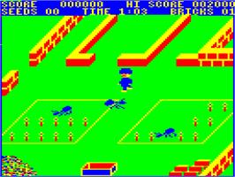In game image of Pedro on the Dragon 32-64.