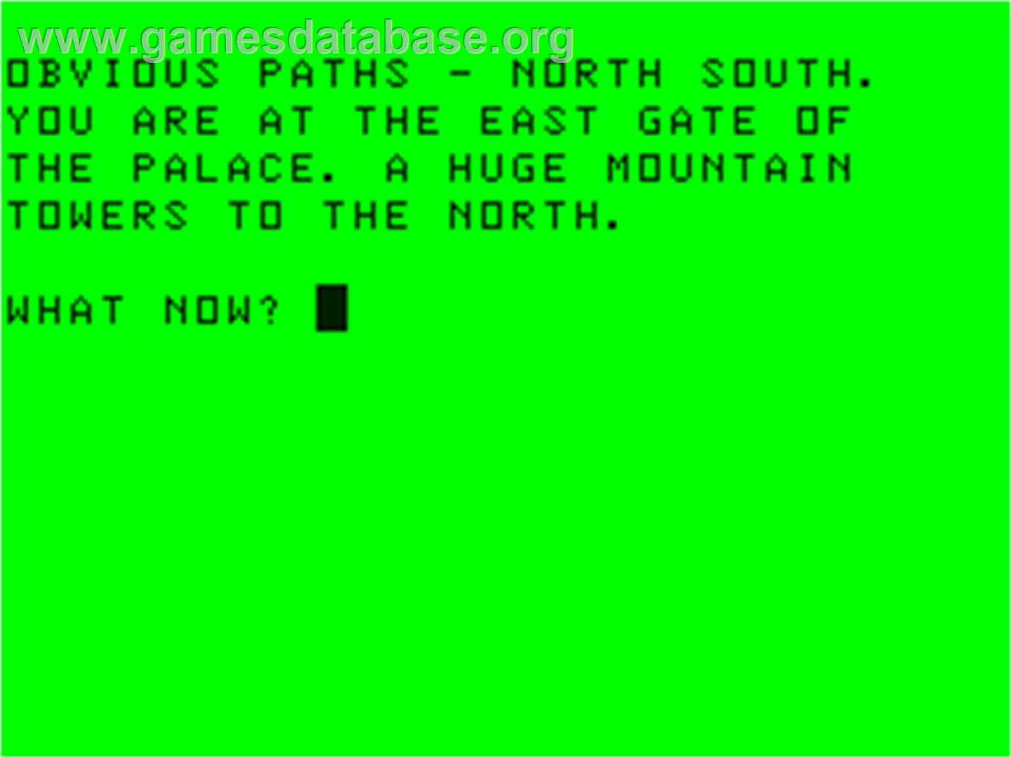 Adventure 2000 - Dragon 32-64 - Artwork - In Game