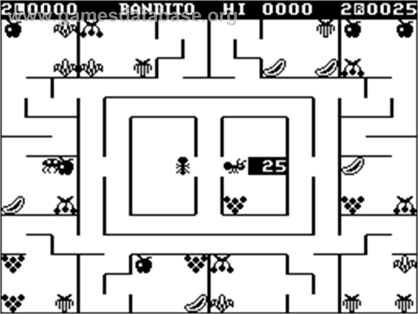 Bandito, El - Dragon 32-64 - Artwork - In Game