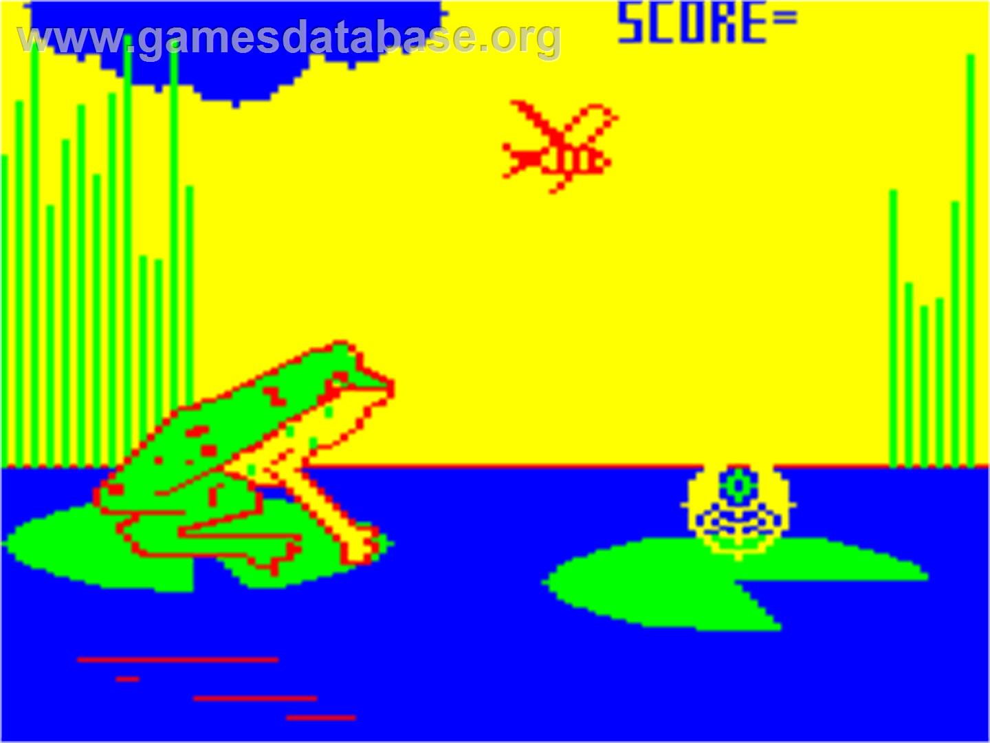 Buzz - Dragon 32-64 - Artwork - In Game