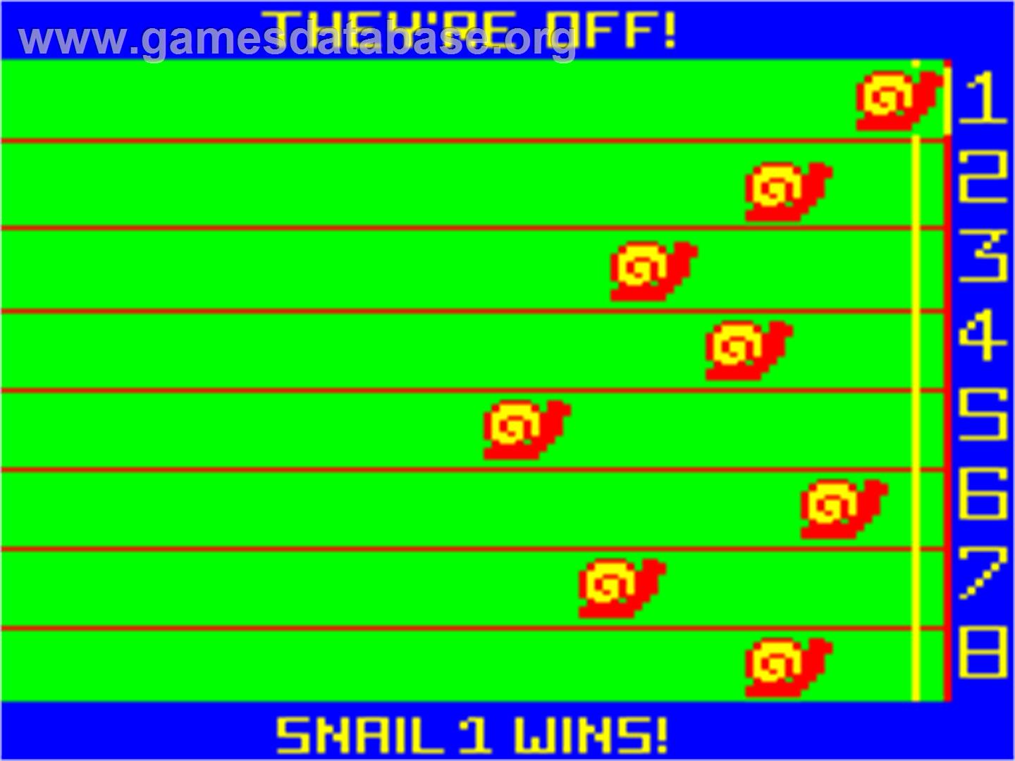 Snail Pace - Dragon 32-64 - Artwork - In Game