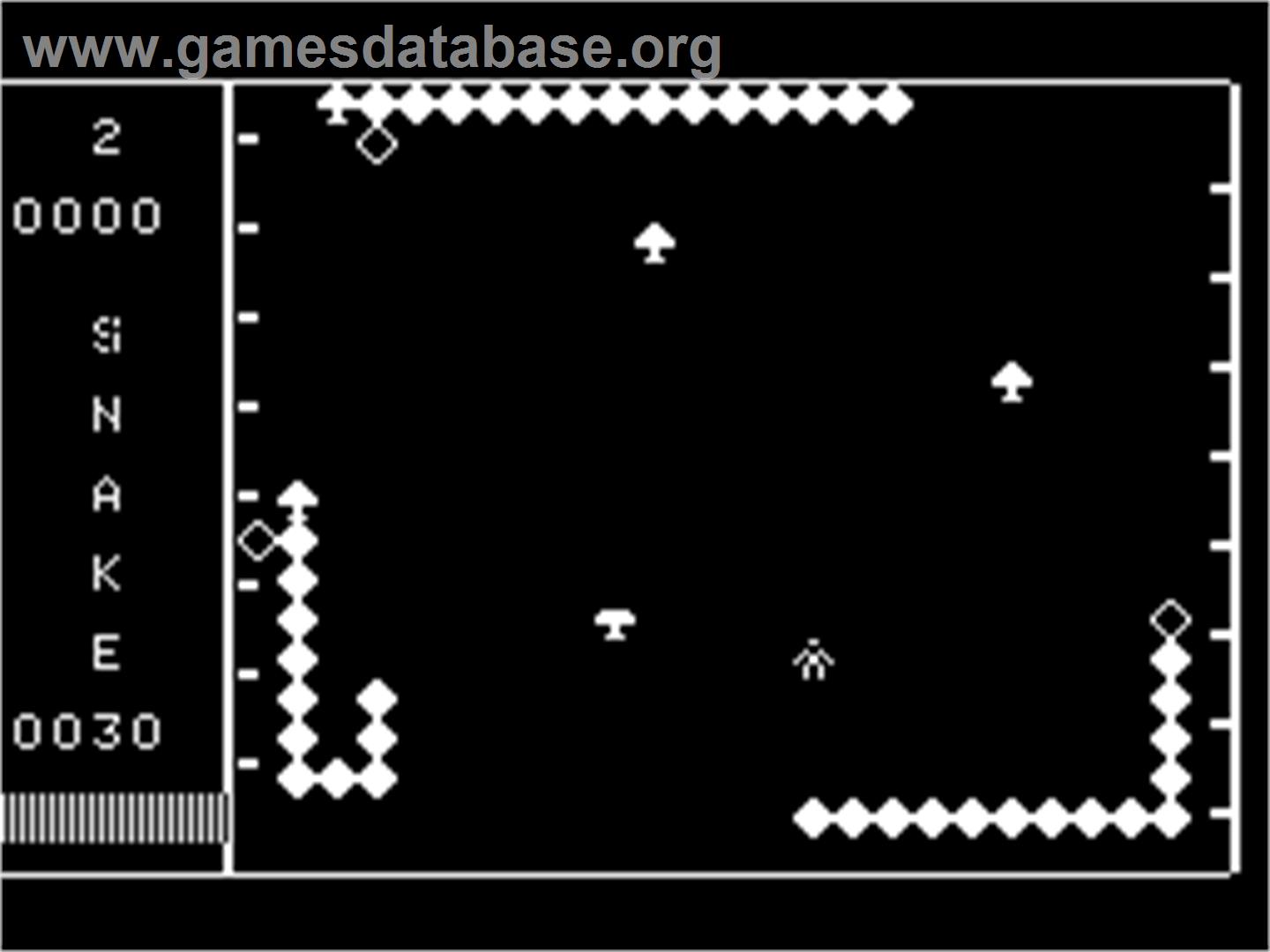 Snakes - Dragon 32-64 - Artwork - In Game