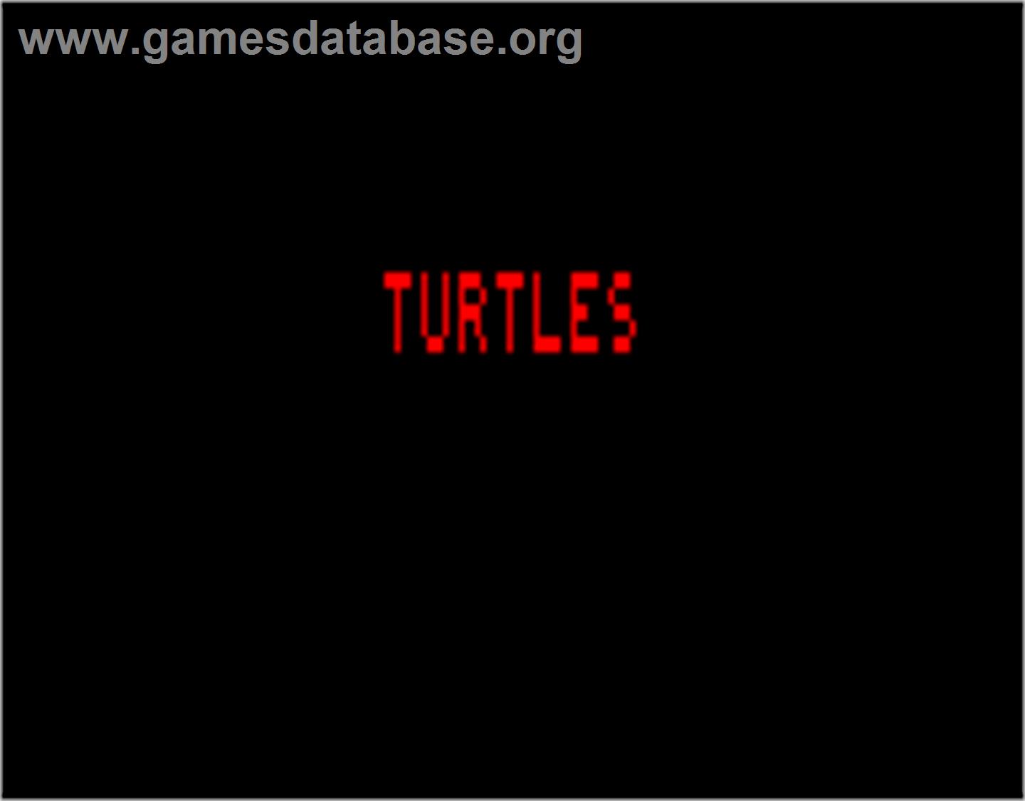 Turtles - Entex Adventure Vision - Artwork - Title Screen