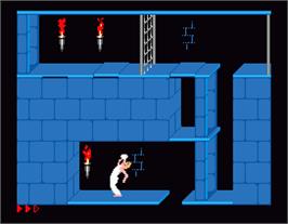 In game image of Prince Of Persia on the MGT Sam Coupe.