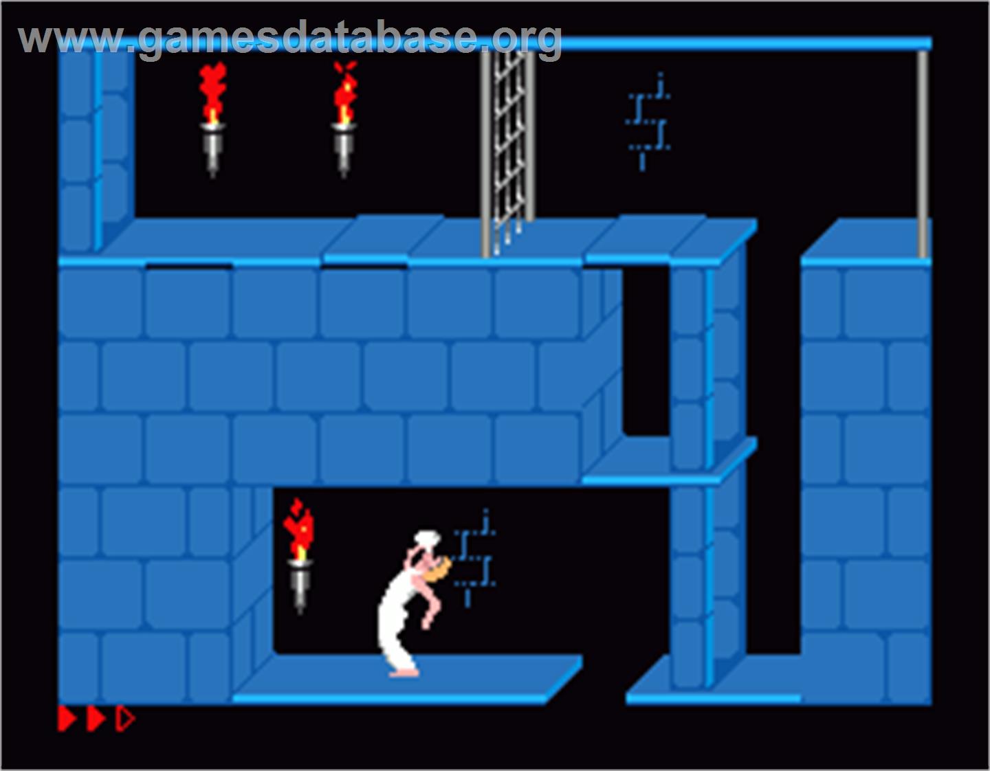 Prince Of Persia - MGT Sam Coupe - Artwork - In Game
