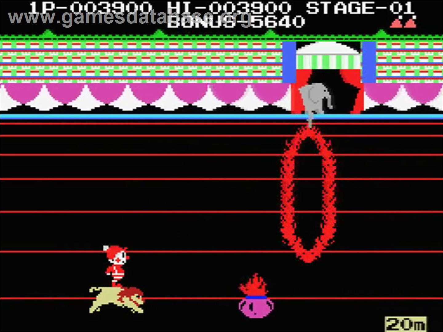 Circus Charlie - MSX - Artwork - In Game