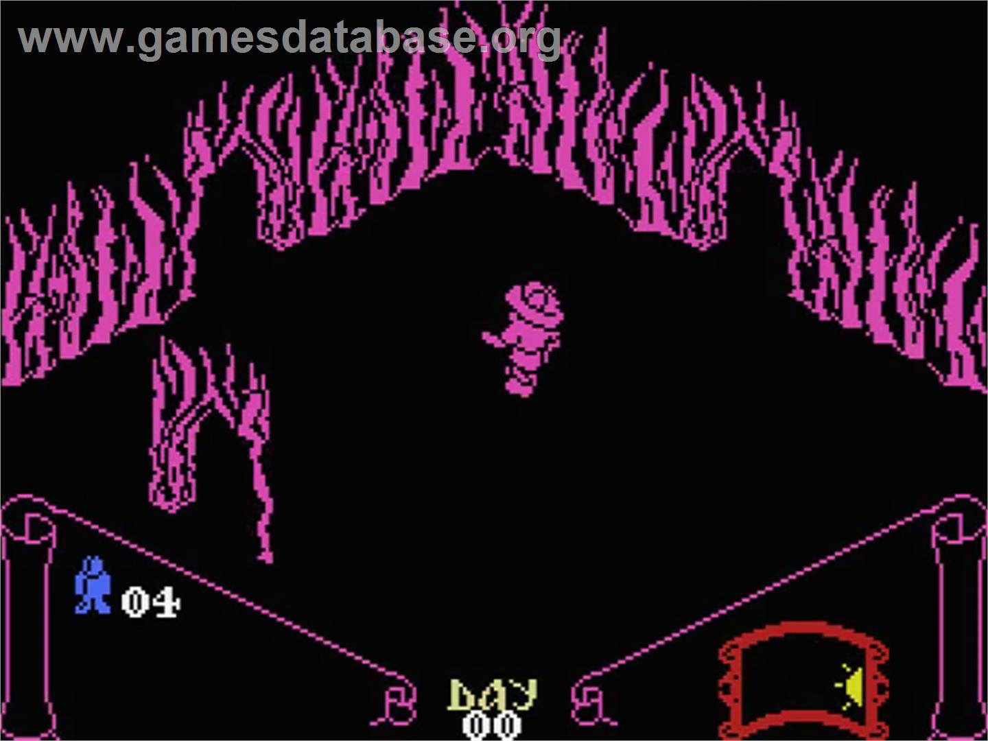 Knight Lore - MSX - Artwork - In Game