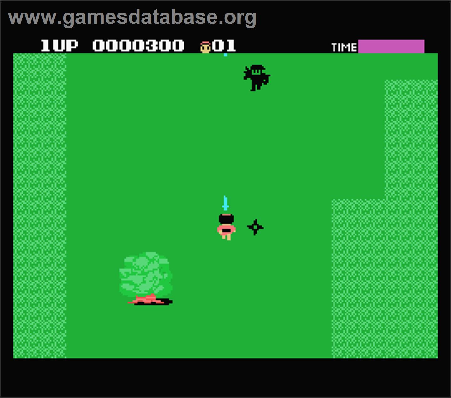 Ninja Princess - MSX - Artwork - In Game