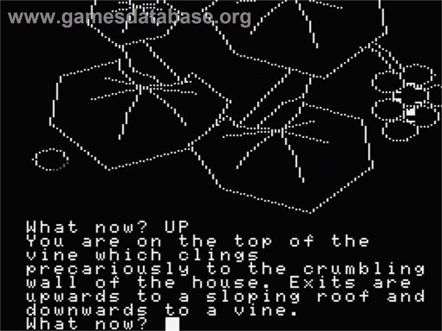 Price Of Magik, The - MSX - Artwork - In Game