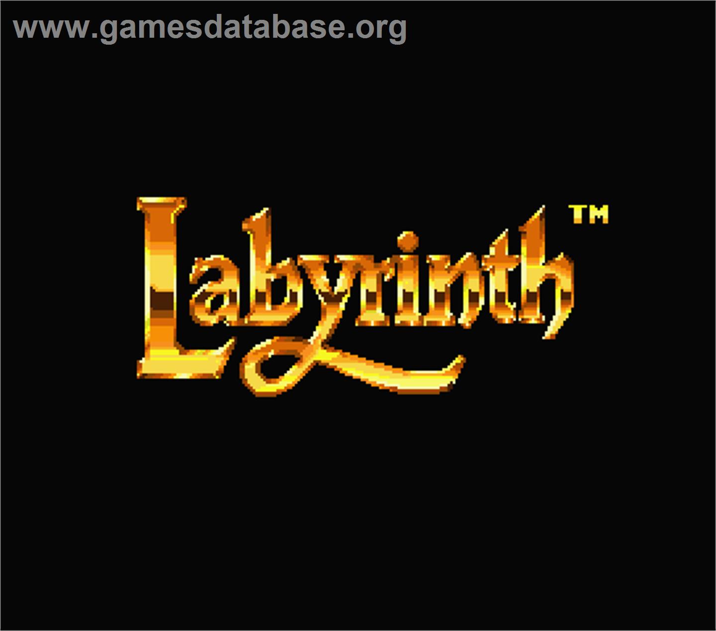 Labyrinth - MSX 2 - Artwork - Title Screen