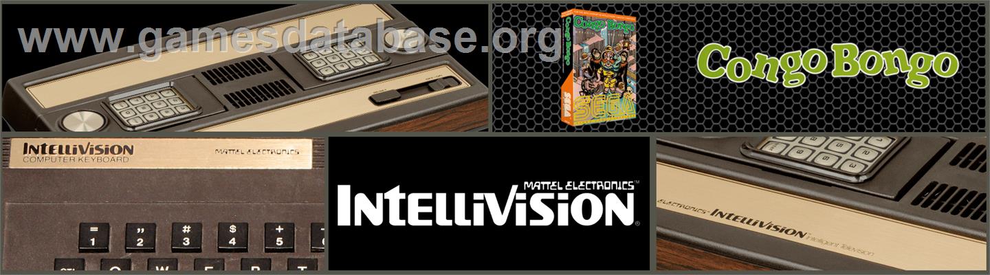 Congo Bongo - Mattel Intellivision - Artwork - Marquee