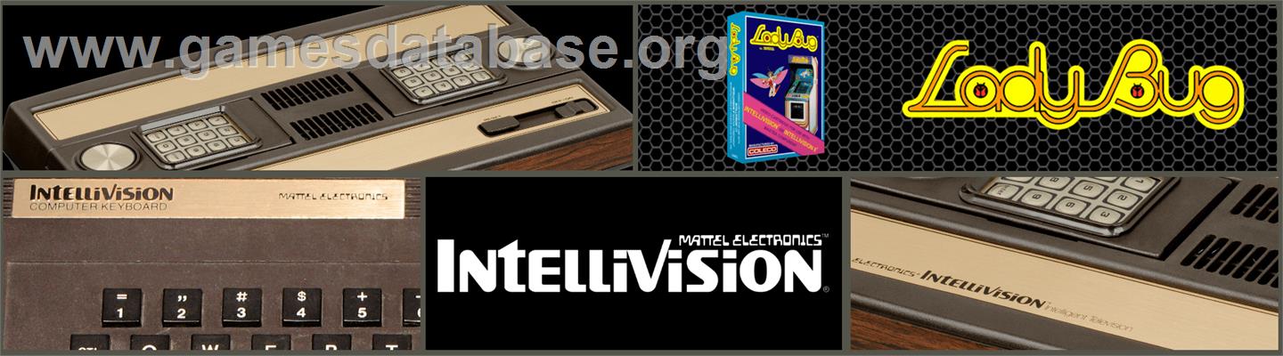 Lady Bug - Mattel Intellivision - Artwork - Marquee