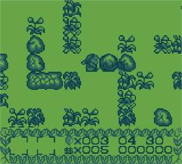 In game image of Black Forest Tale on the Mega Duck.