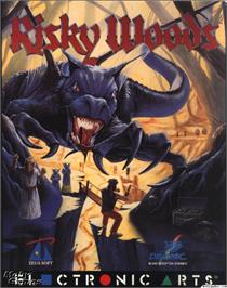 Box cover for Risky Woods on the Microsoft DOS.
