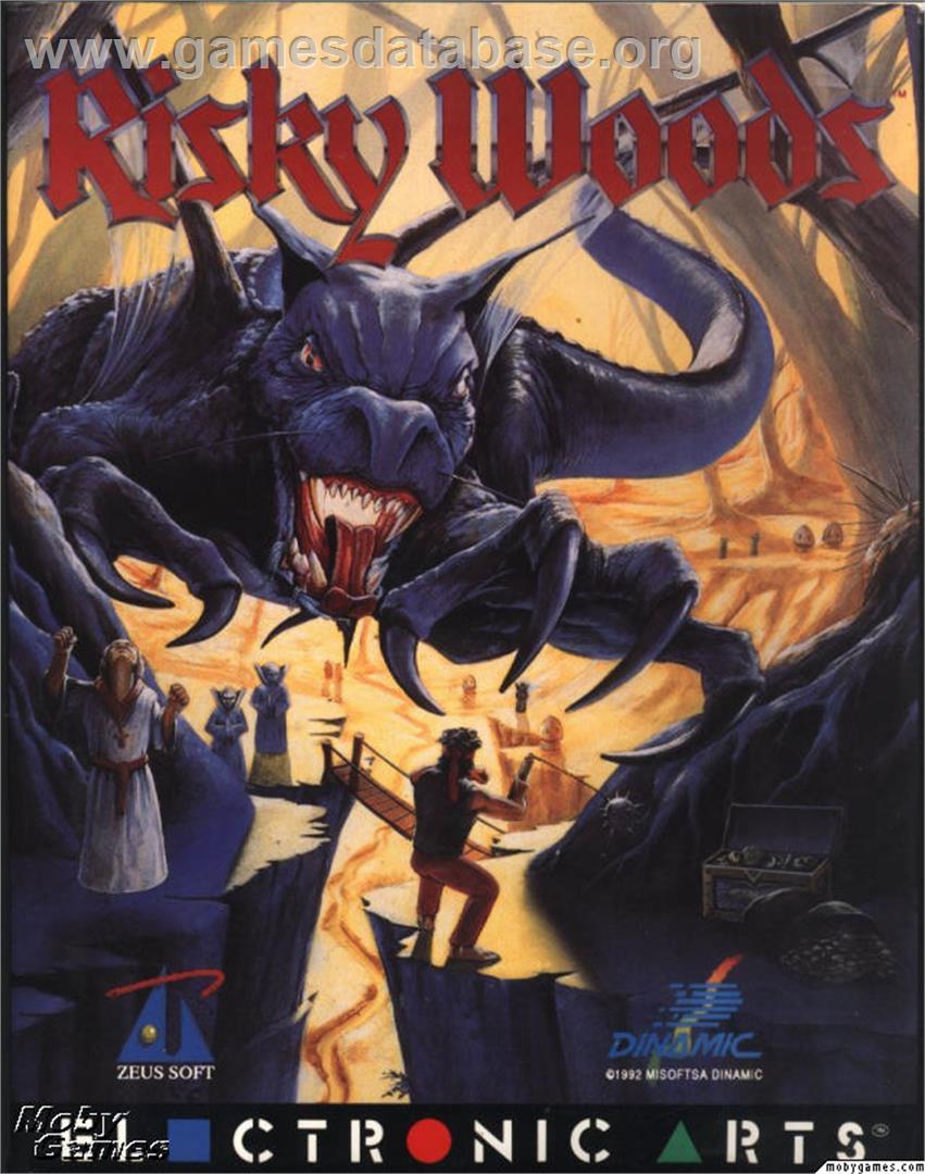 Risky Woods - Microsoft DOS - Artwork - Box