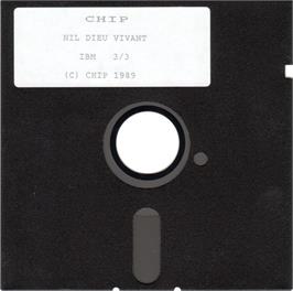 Artwork on the Disc for Day Of The Pharaoh on the Microsoft DOS.