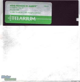 Artwork on the Disc for Nine Princes In Amber on the Microsoft DOS.