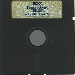 Artwork on the Disc for Temple of Apshai Trilogy on the Microsoft DOS.