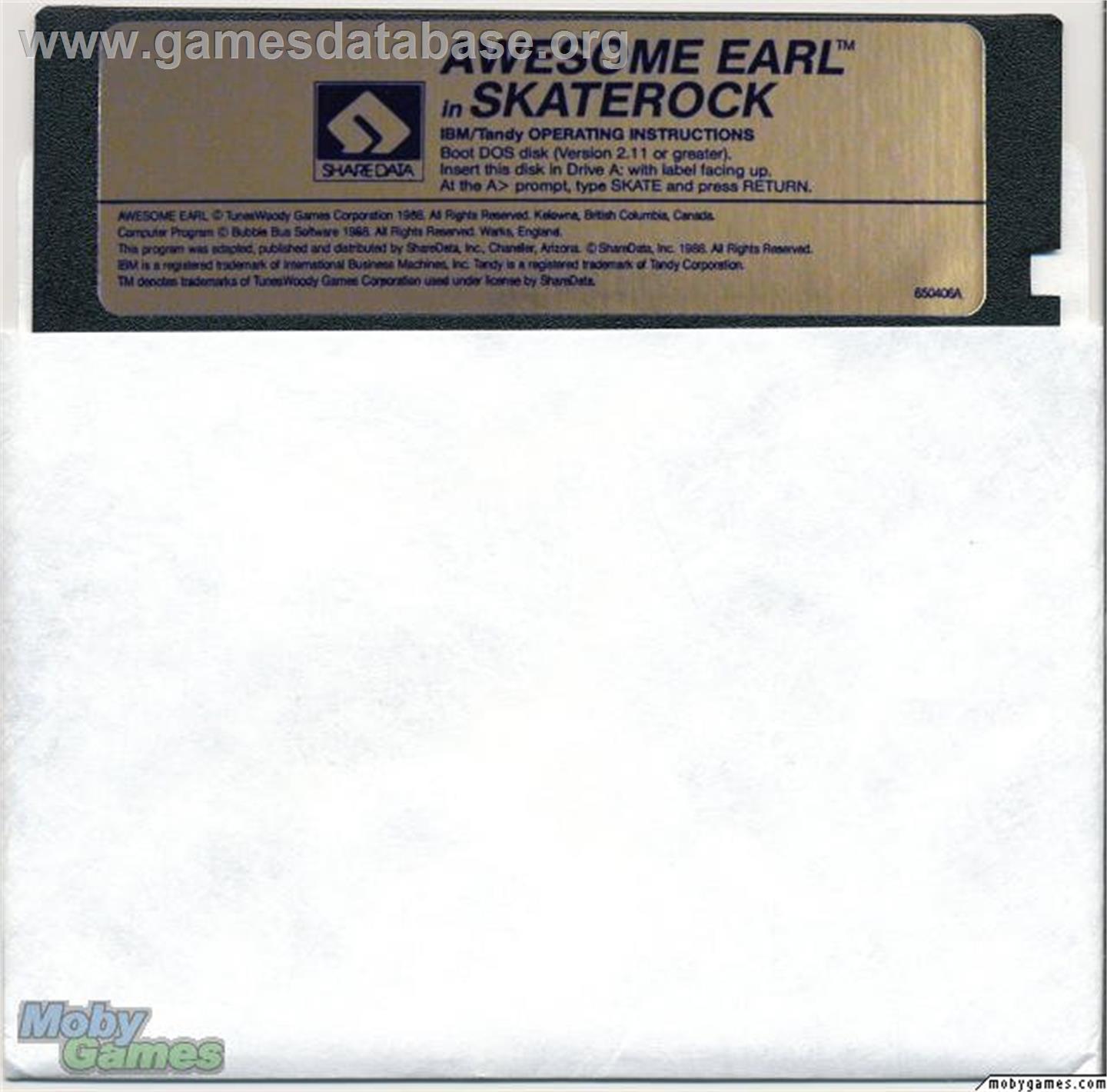Awesome Earl in SkateRock - Microsoft DOS - Artwork - Disc
