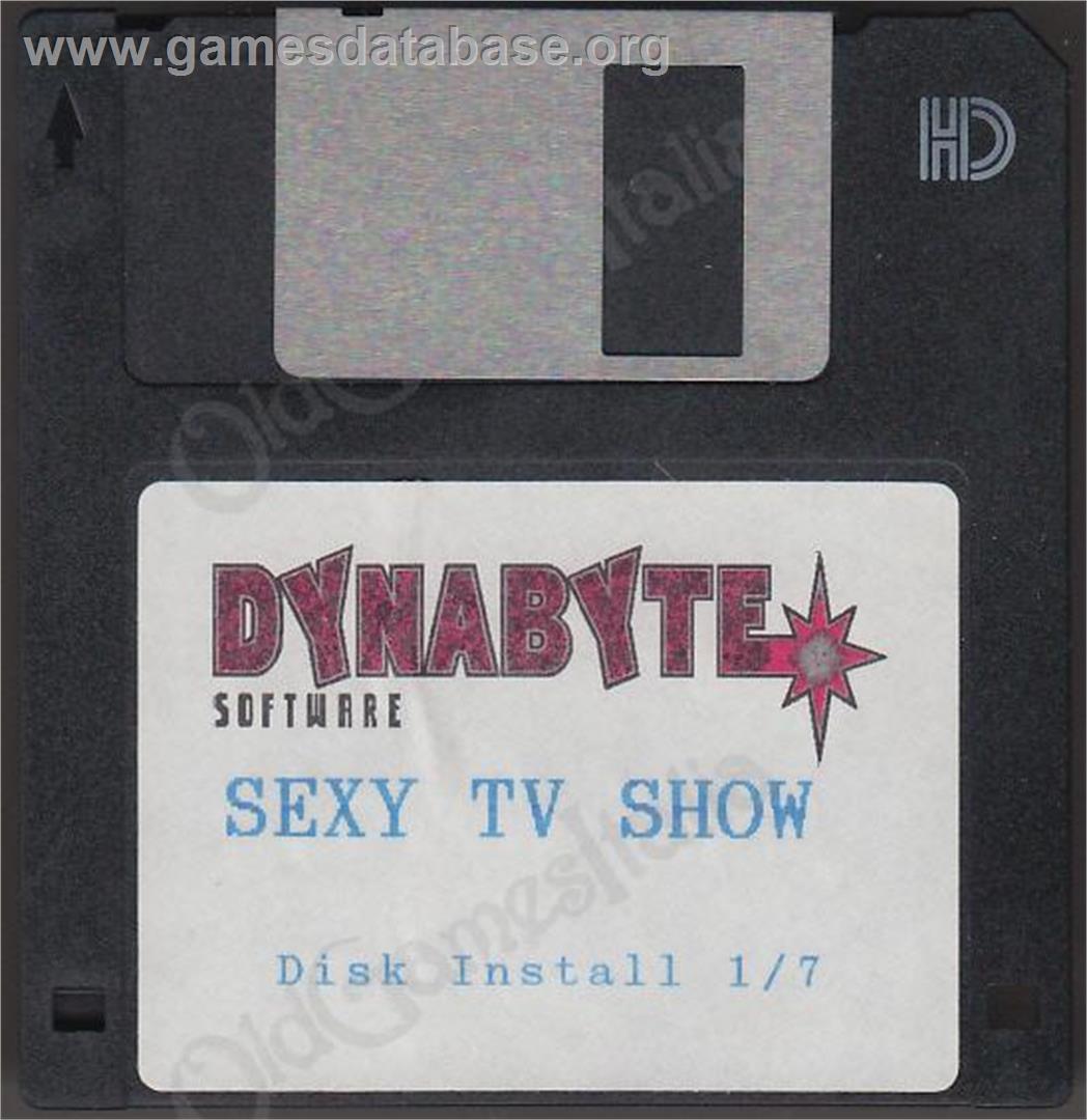 Late Night Sexy TV Show - Microsoft DOS - Artwork - Disc