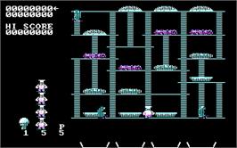 In game image of Burgertime on the Microsoft DOS.