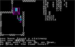 In game image of Telengard on the Microsoft DOS.