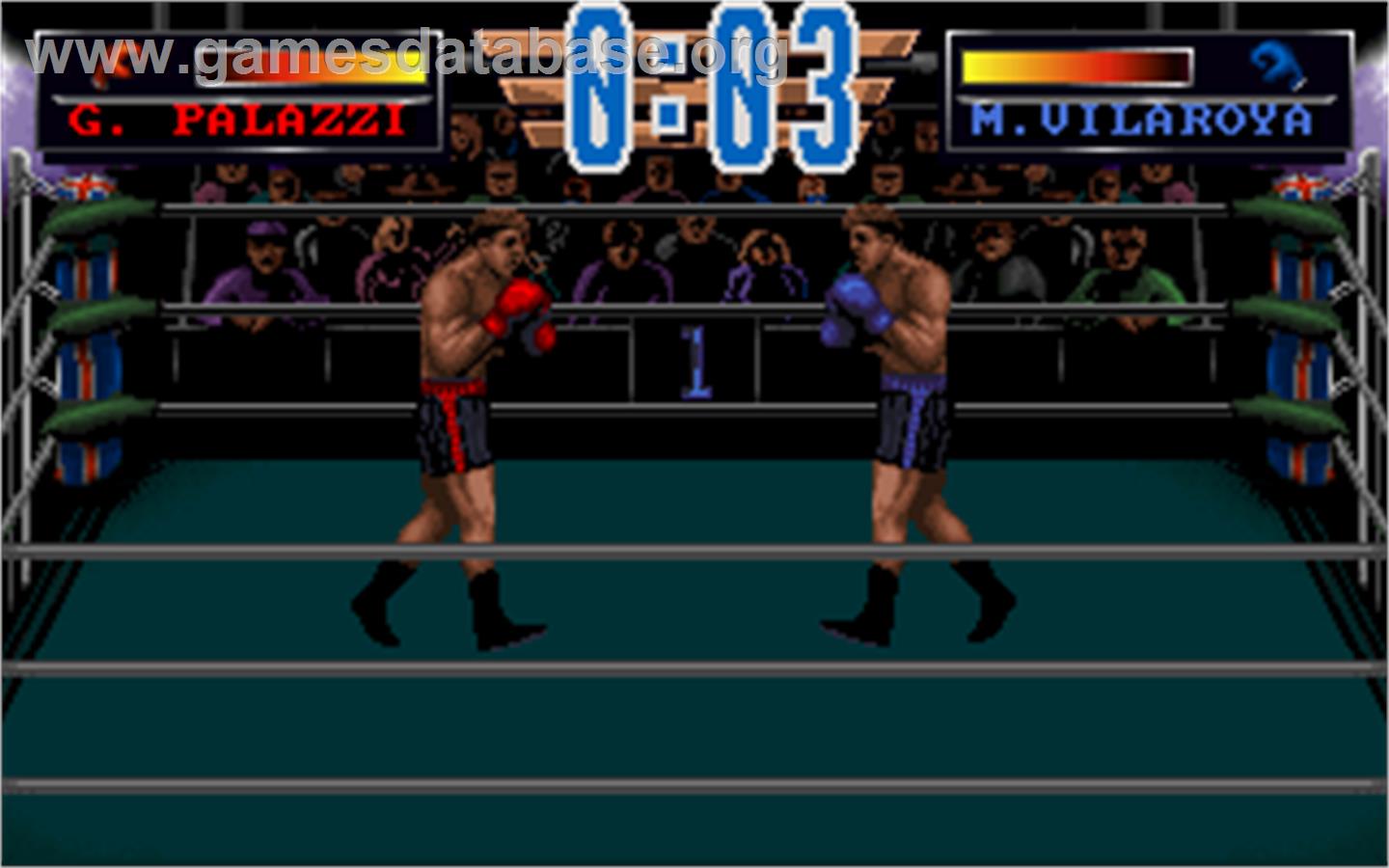3D World Boxing - Microsoft DOS - Artwork - In Game