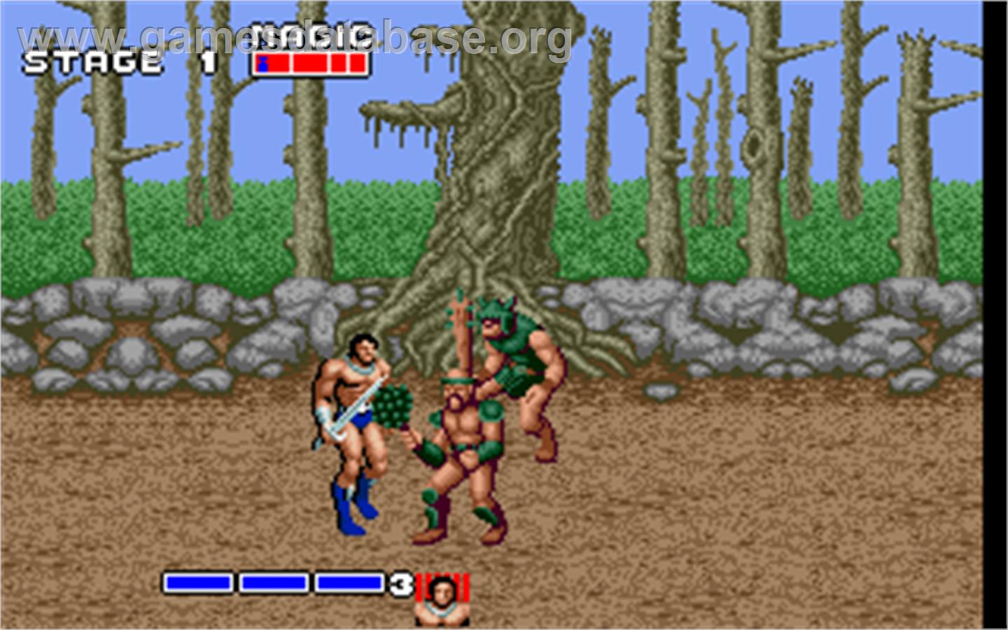 Golden Axe - Microsoft DOS - Artwork - In Game