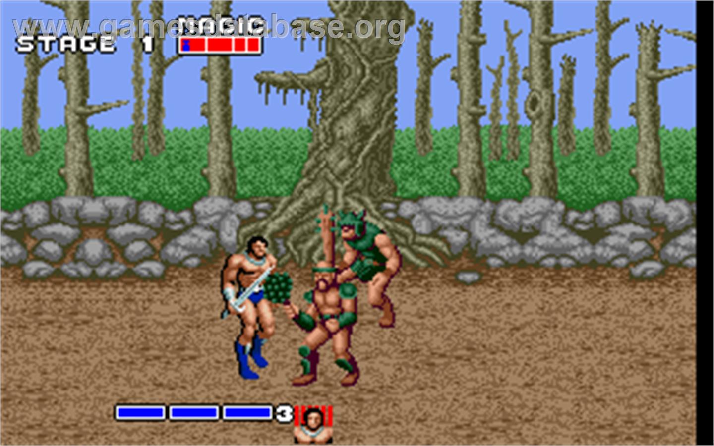 Golden Axe - Microsoft DOS - Artwork - In Game