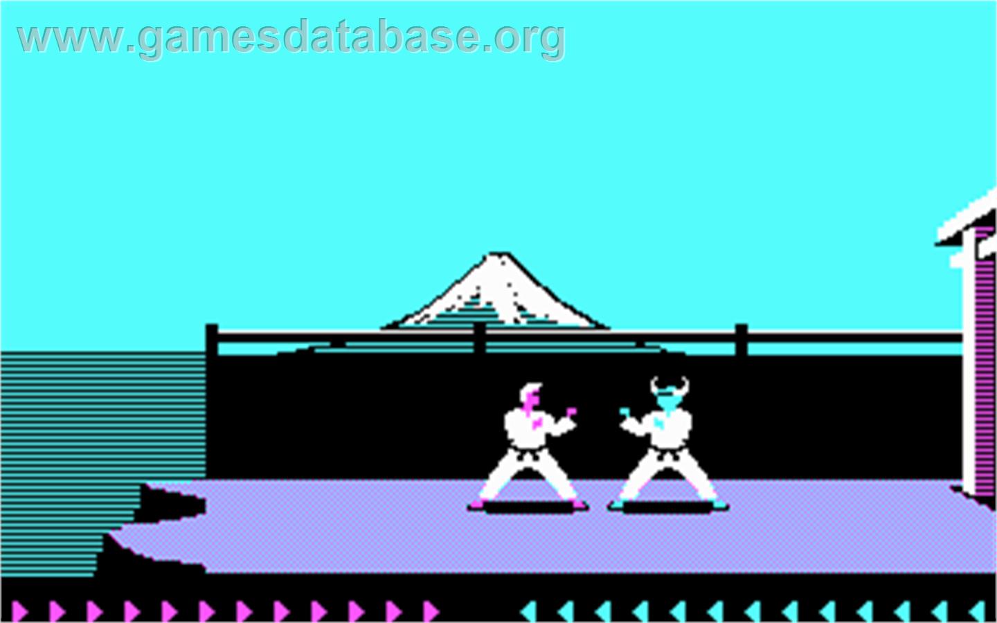 Karateka - Microsoft DOS - Artwork - In Game