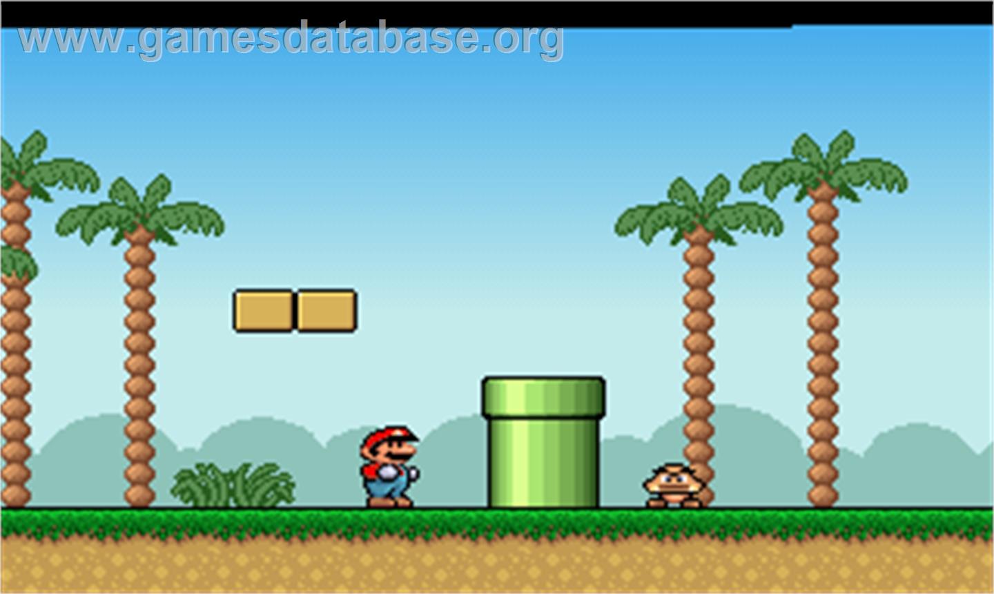 Mario And Luigi - Microsoft DOS - Artwork - In Game