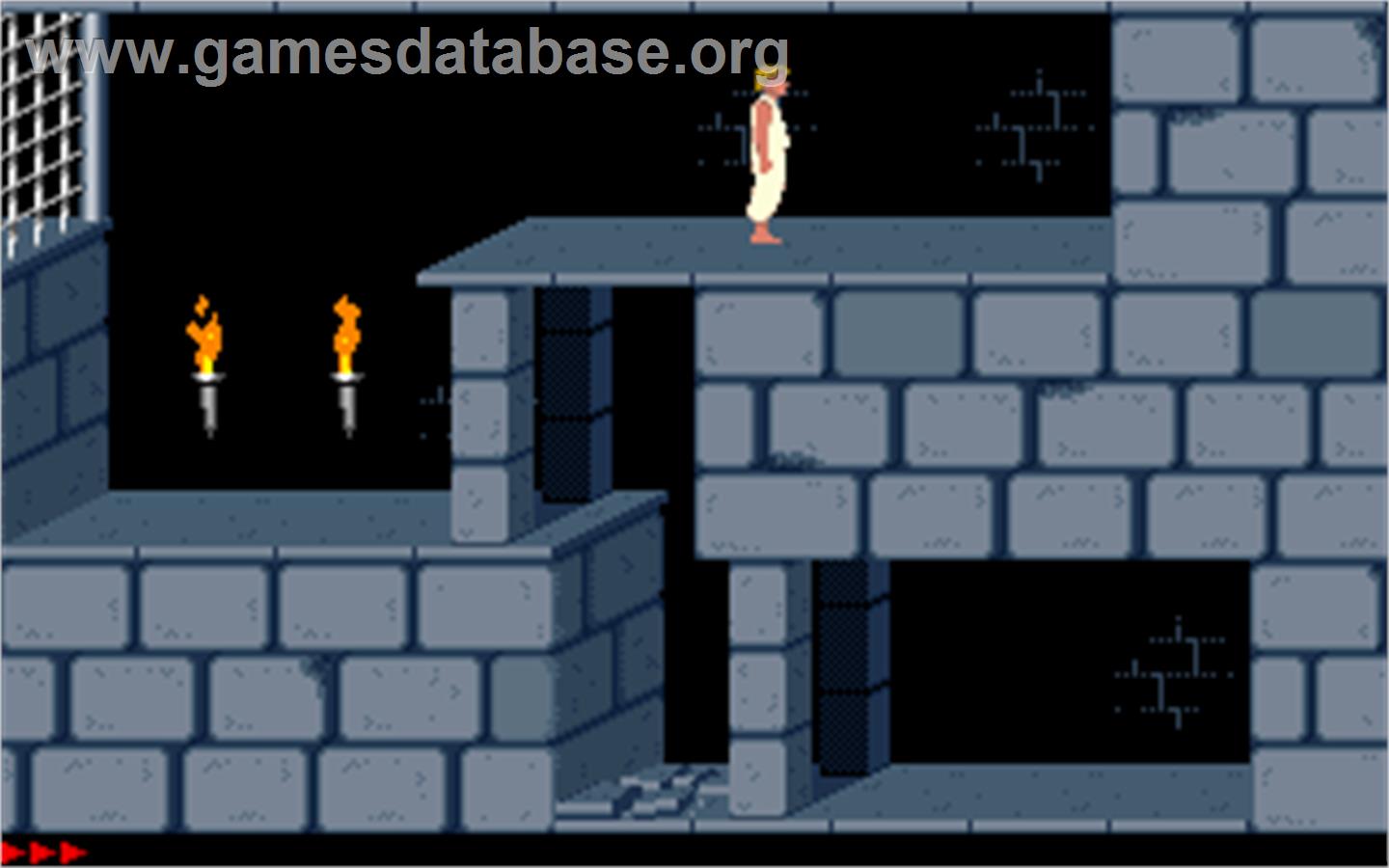 Prince of Persia - Microsoft DOS - Artwork - In Game