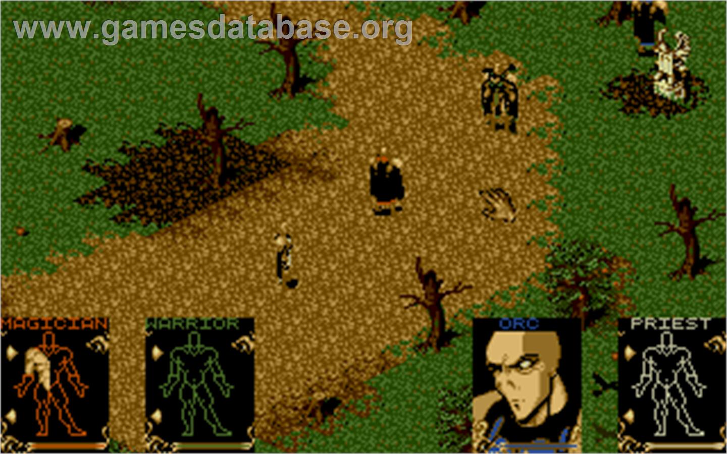 Shadowlands - Microsoft DOS - Artwork - In Game