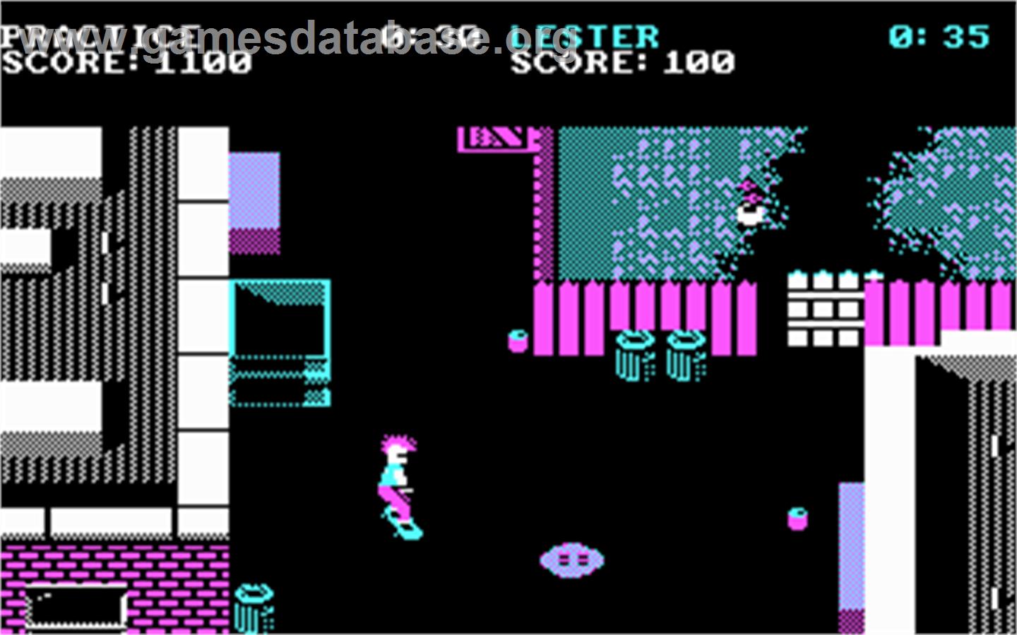 Skate or Die - Microsoft DOS - Artwork - In Game