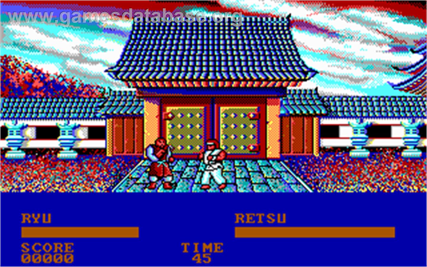 Street Fighter - Microsoft DOS - Artwork - In Game