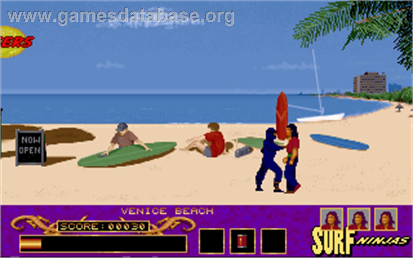 Surf Ninjas - Microsoft DOS - Artwork - In Game