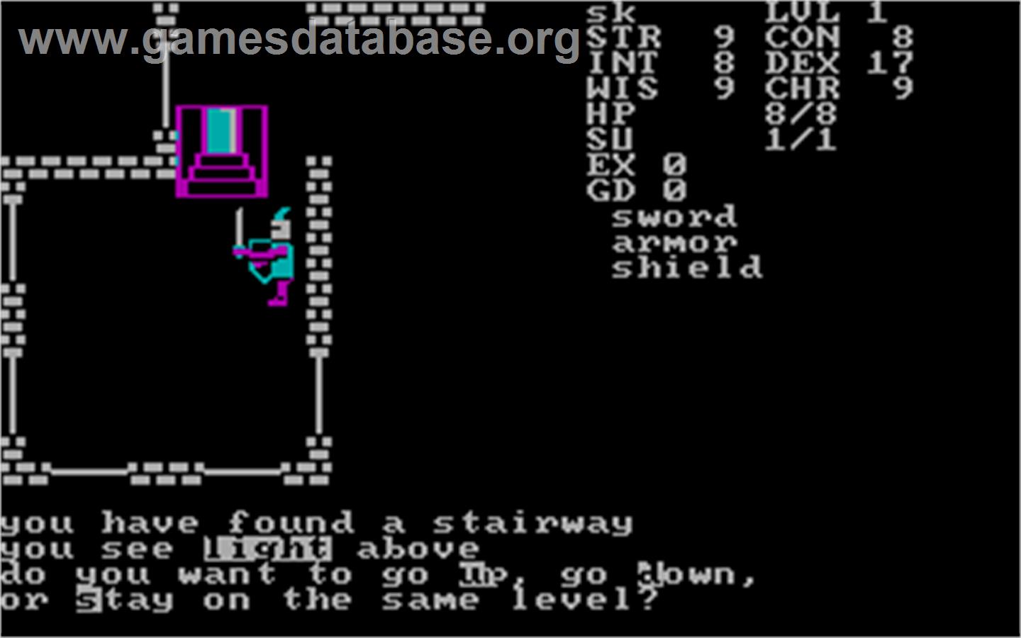 Telengard - Microsoft DOS - Artwork - In Game