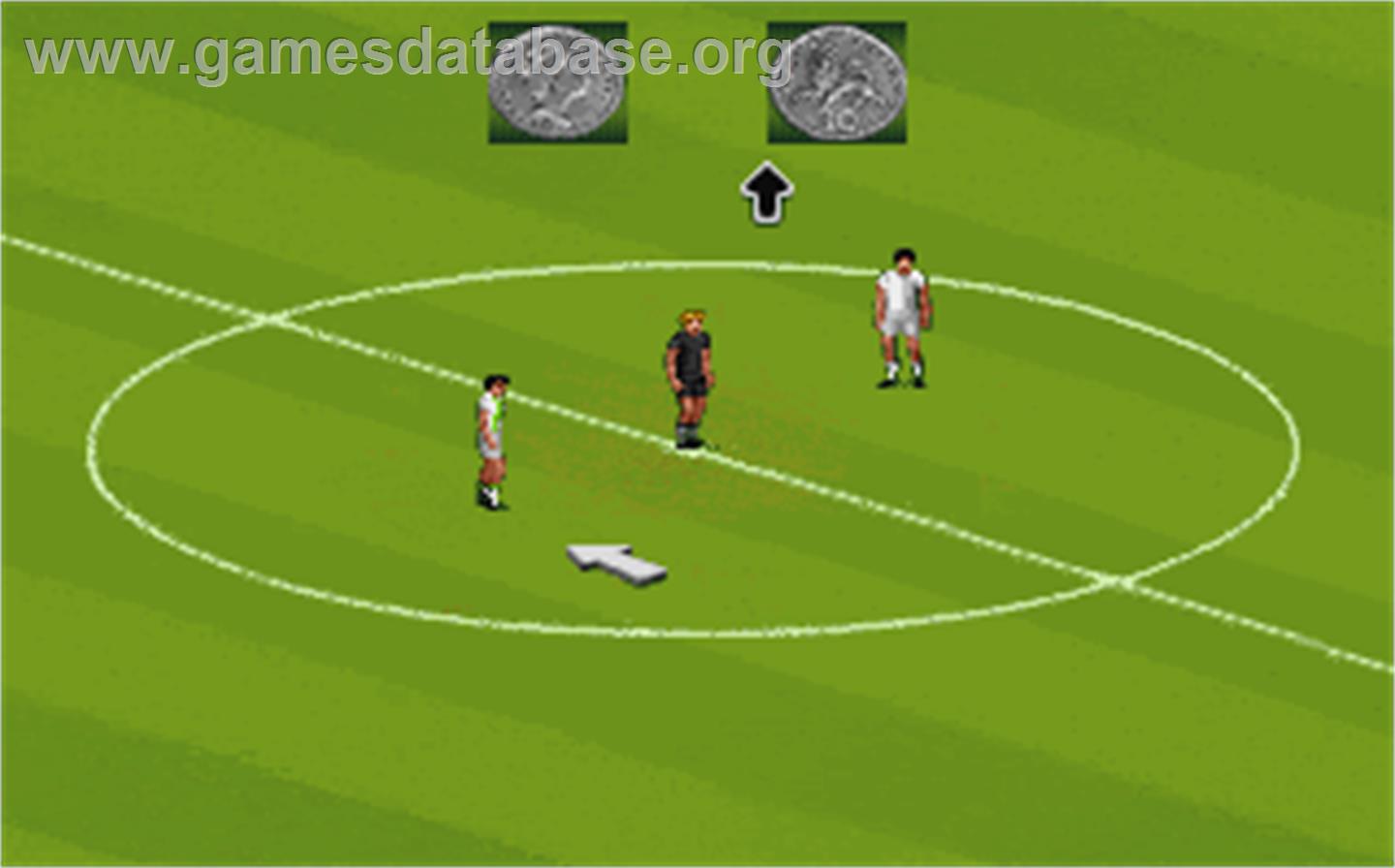 UEFA Champions League 1996/97 - Microsoft DOS - Artwork - In Game