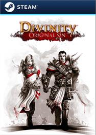 Box cover for Divinity - Original Sin on the Microsoft Windows.