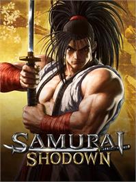 Box cover for Samurai Shodown on the Microsoft Windows.
