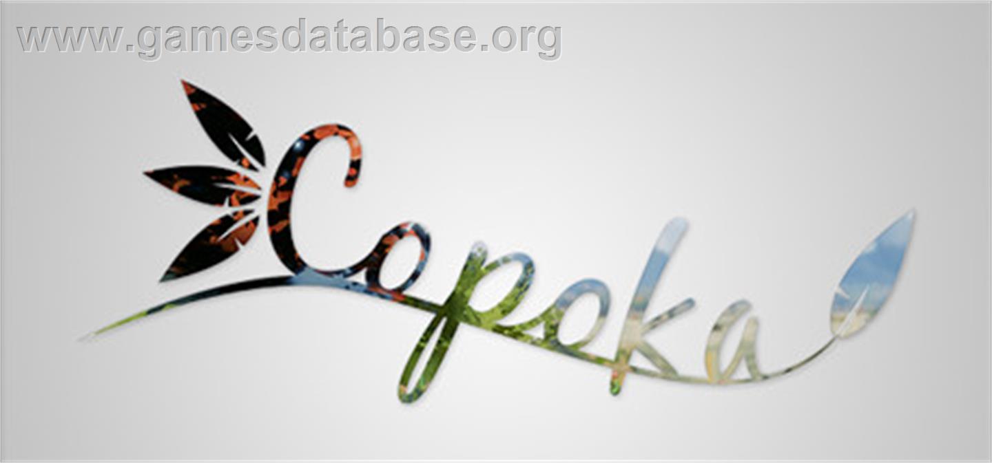 Copoka - Microsoft Windows - Artwork - Box