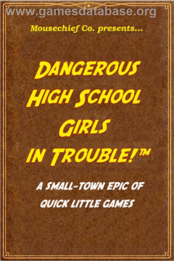 Dangerous High School Girls in Trouble! - Microsoft Windows - Artwork - Box