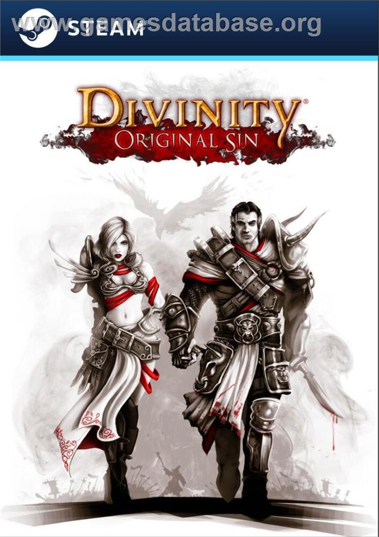 Divinity - Original Sin - Microsoft Windows - Artwork - Box